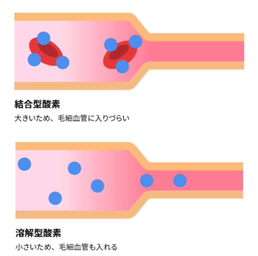 結合型酸素と溶解型酸素の説明図