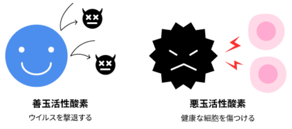 善玉活性酸素と悪玉活性酸素のイメージ