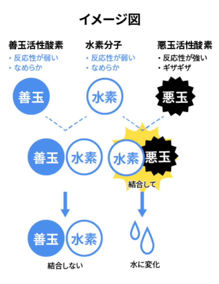 善玉活性酸素と悪玉活性酸素と水素のイメージ